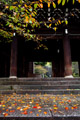 images/album/b1001.jpg