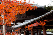 images/album/b1002.jpg