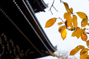images/album/b1004.jpg