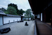 images/album/b1009.jpg
