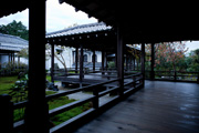 images/album/b1010.jpg