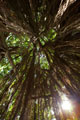 images/album/b2003.jpg