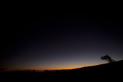 images/album/b2007.jpg