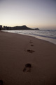 images/album/b2009.jpg